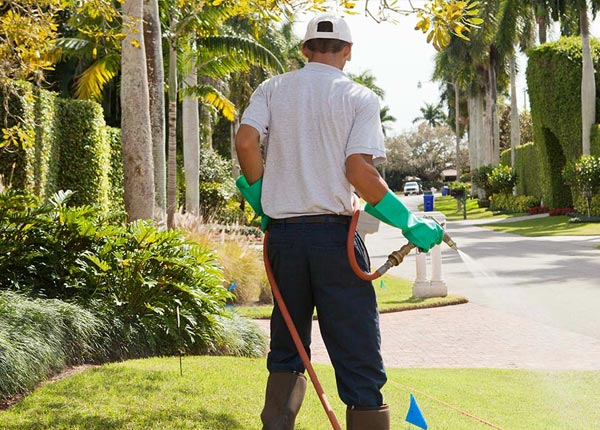 About Silver Creek GA Pest Control Pros